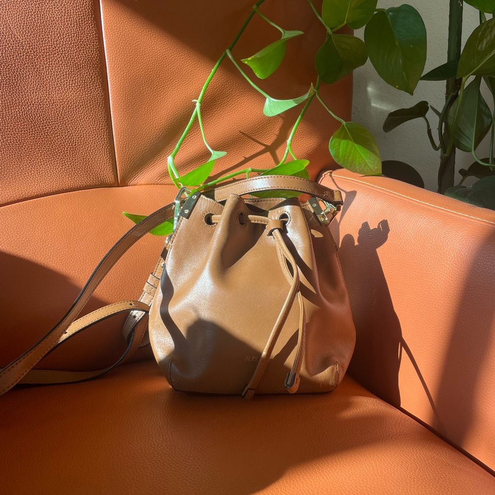 Aritzia Auxiliary Tan Leather Mini Bag